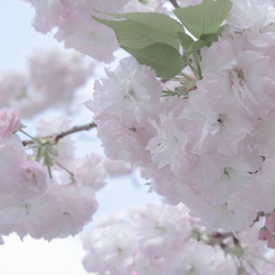 兽设海洋元素设计兽圈社群